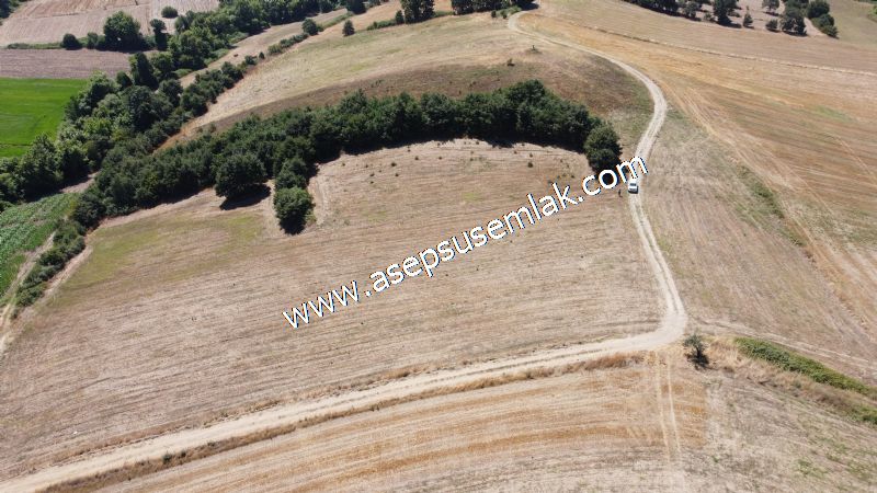 8.480 m2 Çiftlik Bağ-Bahçe K.Pompaj Su Var Kadastro Yola Cepheli