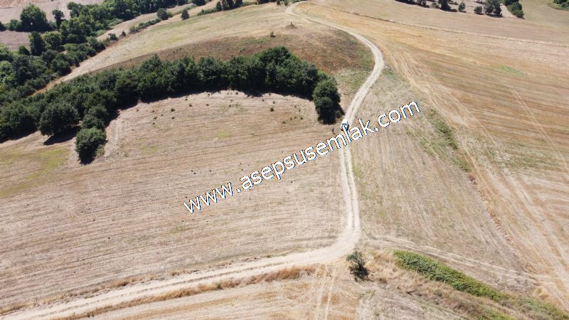 8.480 m2 Çiftlik Bağ-Bahçe K.Pompaj Su Var Kadastro Yola Cepheli