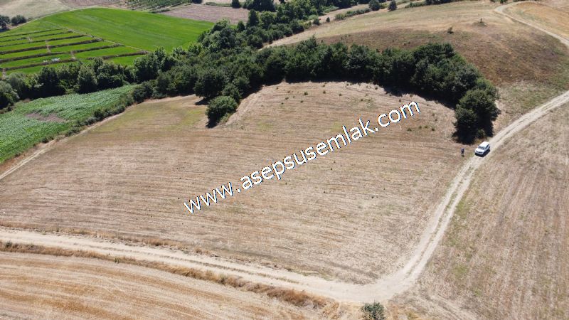 8.480 m2 Çiftlik Bağ-Bahçe K.Pompaj Su Var Kadastro Yola Cepheli