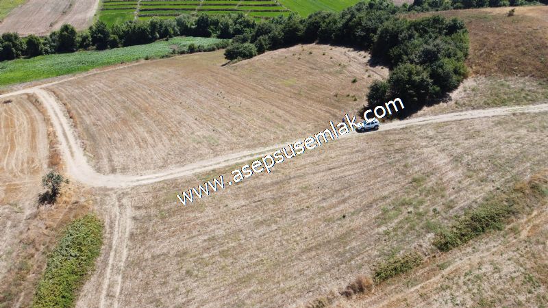 8.480 m2 Çiftlik Bağ-Bahçe K.Pompaj Su Var Kadastro Yola Cepheli