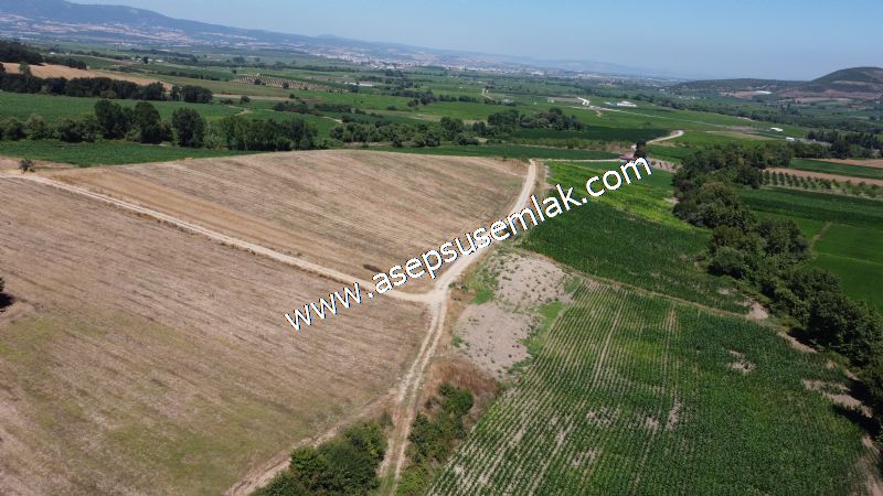 8.480 m2 Çiftlik Bağ-Bahçe K.Pompaj Su Var Kadastro Yola Cepheli