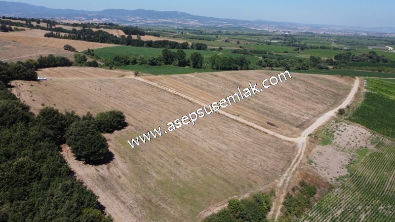 8.480 m2 Çiftlik Bağ-Bahçe K.Pompaj Su Var Kadastro Yola Cepheli