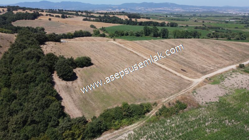 8.480 m2 Çiftlik Bağ-Bahçe K.Pompaj Su Var Kadastro Yola Cepheli