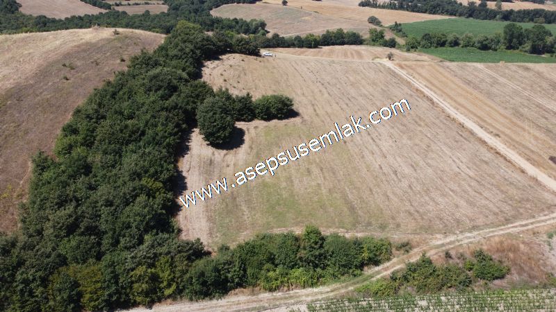 8.480 m2 Çiftlik Bağ-Bahçe K.Pompaj Su Var Kadastro Yola Cepheli