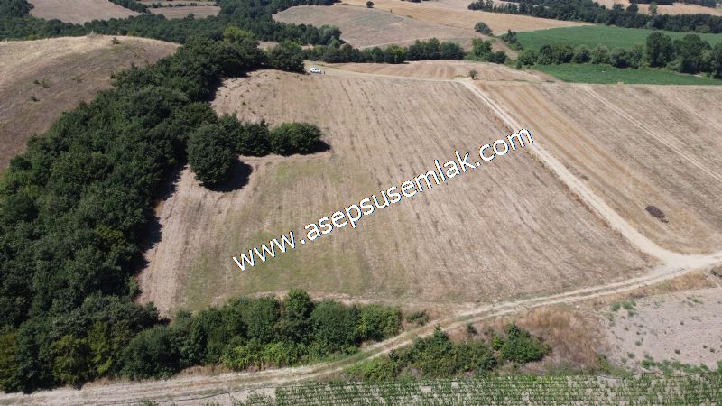 8.480 m2 Çiftlik Bağ-Bahçe K.Pompaj Su Var Kadastro Yola Cepheli