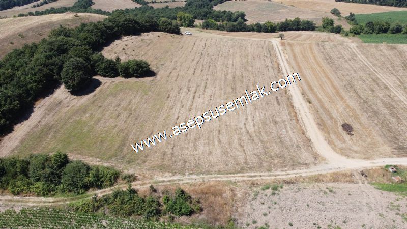 8.480 m2 Çiftlik Bağ-Bahçe K.Pompaj Su Var Kadastro Yola Cepheli