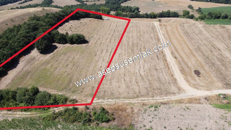8.480 m2 Çiftlik Bağ-Bahçe K.Pompaj Su Var Kadastro Yola Cepheli