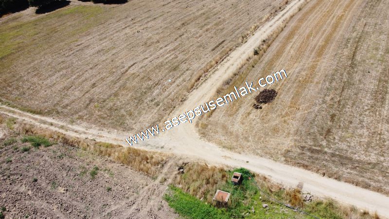 8.480 m2 Çiftlik Bağ-Bahçe K.Pompaj Su Var Kadastro Yola Cepheli