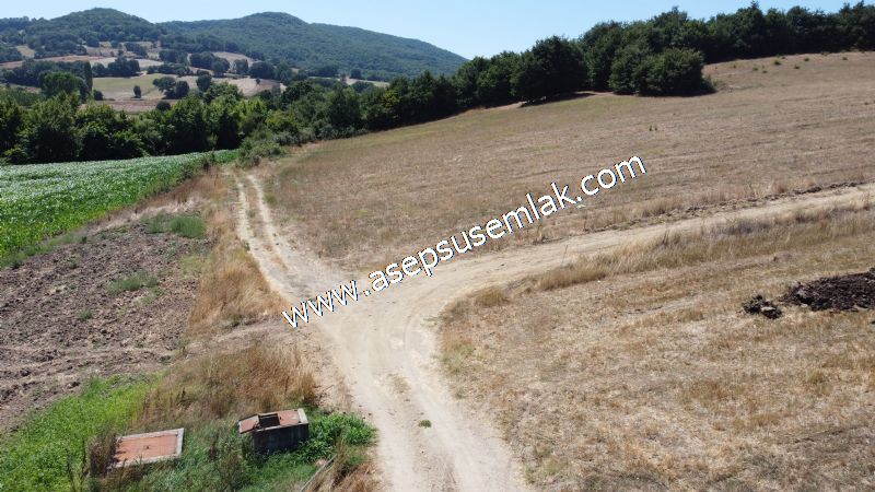 8.480 m2 Çiftlik Bağ-Bahçe K.Pompaj Su Var Kadastro Yola Cepheli
