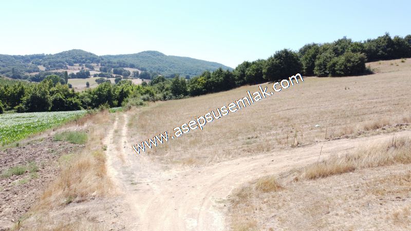 8.480 m2 Çiftlik Bağ-Bahçe K.Pompaj Su Var Kadastro Yola Cepheli