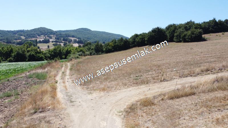 8.480 m2 Çiftlik Bağ-Bahçe K.Pompaj Su Var Kadastro Yola Cepheli