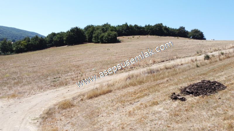 8.480 m2 Çiftlik Bağ-Bahçe K.Pompaj Su Var Kadastro Yola Cepheli
