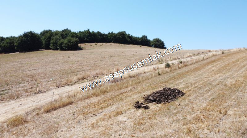 8.480 m2 Çiftlik Bağ-Bahçe K.Pompaj Su Var Kadastro Yola Cepheli