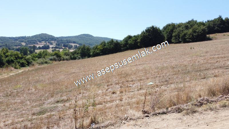8.480 m2 Çiftlik Bağ-Bahçe K.Pompaj Su Var Kadastro Yola Cepheli