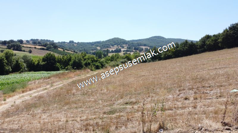 8.480 m2 Çiftlik Bağ-Bahçe K.Pompaj Su Var Kadastro Yola Cepheli