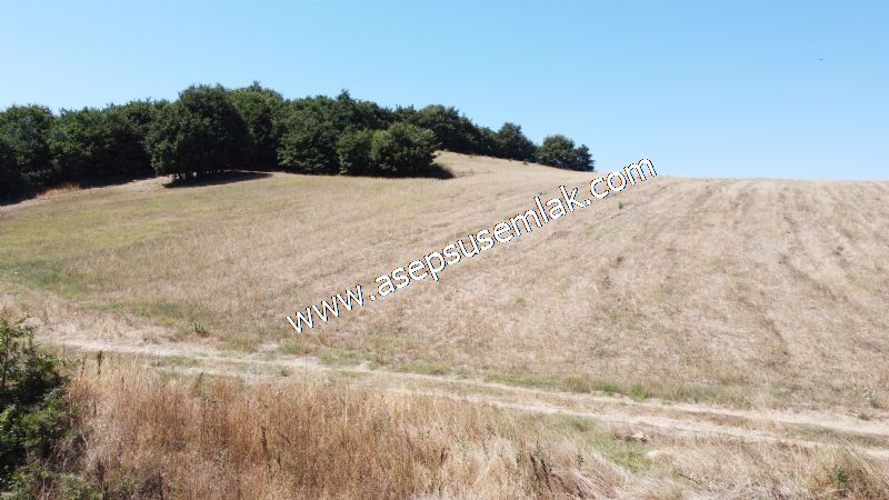 8.480 m2 Çiftlik Bağ-Bahçe K.Pompaj Su Var Kadastro Yola Cepheli