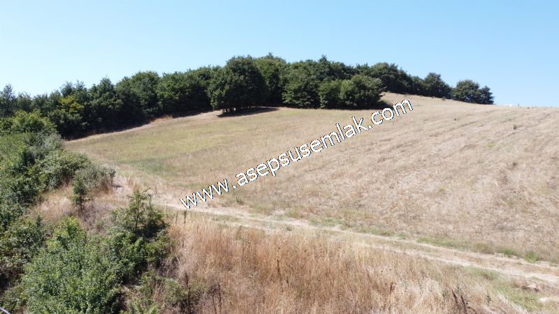 8.480 m2 Çiftlik Bağ-Bahçe K.Pompaj Su Var Kadastro Yola Cepheli