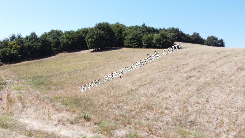 8.480 m2 Çiftlik Bağ-Bahçe K.Pompaj Su Var Kadastro Yola Cepheli