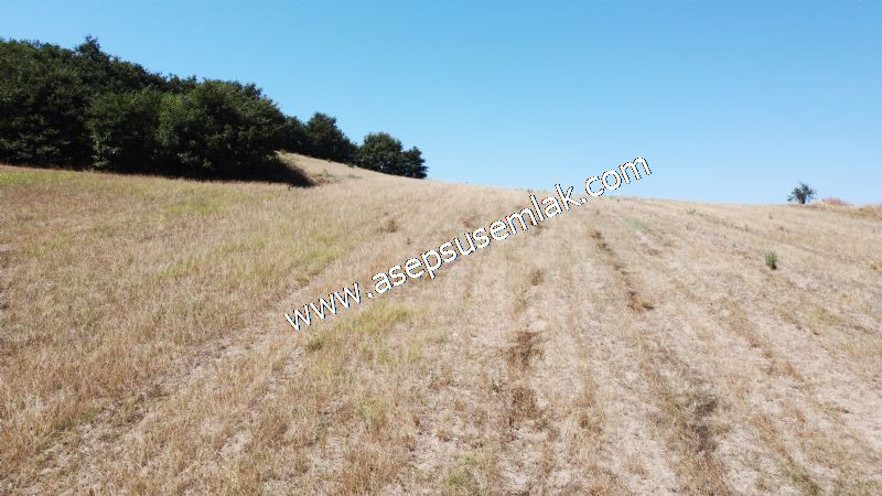 8.480 m2 Çiftlik Bağ-Bahçe K.Pompaj Su Var Kadastro Yola Cepheli