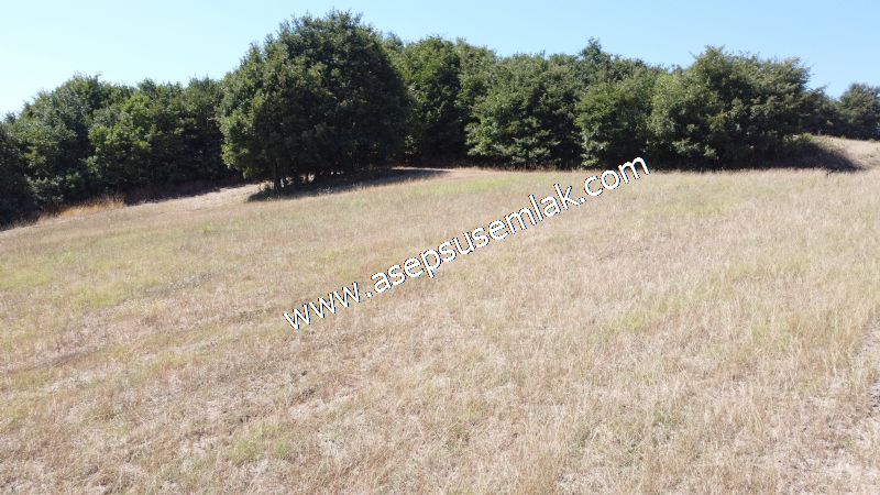 8.480 m2 Çiftlik Bağ-Bahçe K.Pompaj Su Var Kadastro Yola Cepheli