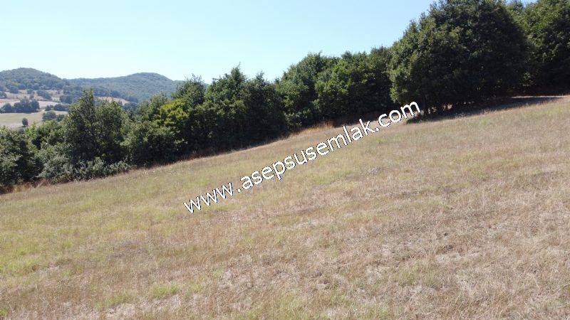 8.480 m2 Çiftlik Bağ-Bahçe K.Pompaj Su Var Kadastro Yola Cepheli