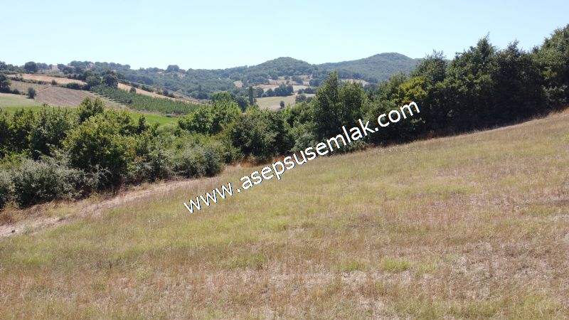 8.480 m2 Çiftlik Bağ-Bahçe K.Pompaj Su Var Kadastro Yola Cepheli