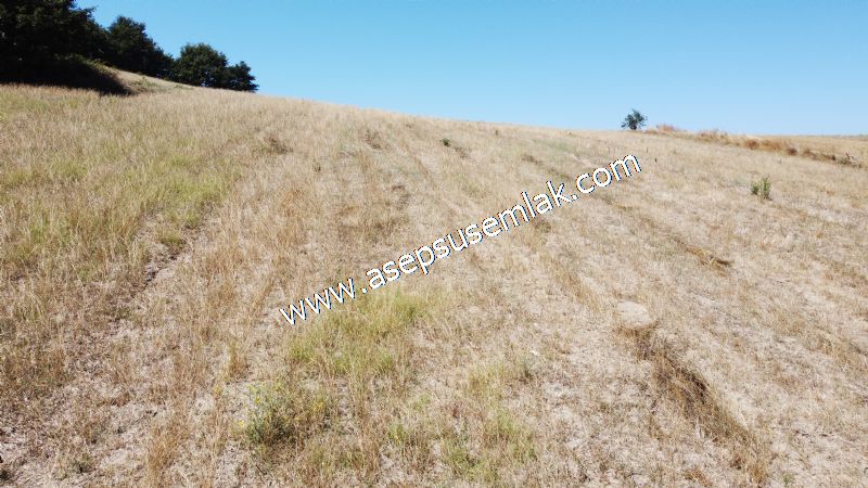 8.480 m2 Çiftlik Bağ-Bahçe K.Pompaj Su Var Kadastro Yola Cepheli