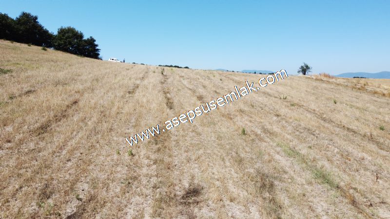 8.480 m2 Çiftlik Bağ-Bahçe K.Pompaj Su Var Kadastro Yola Cepheli