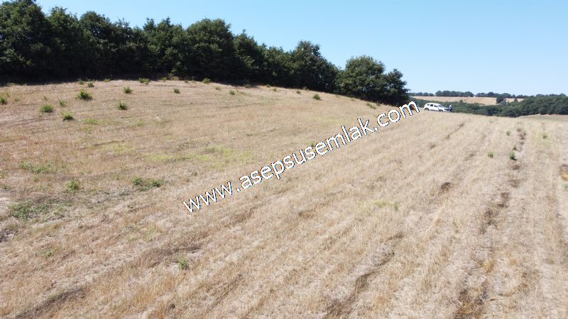 8.480 m2 Çiftlik Bağ-Bahçe K.Pompaj Su Var Kadastro Yola Cepheli