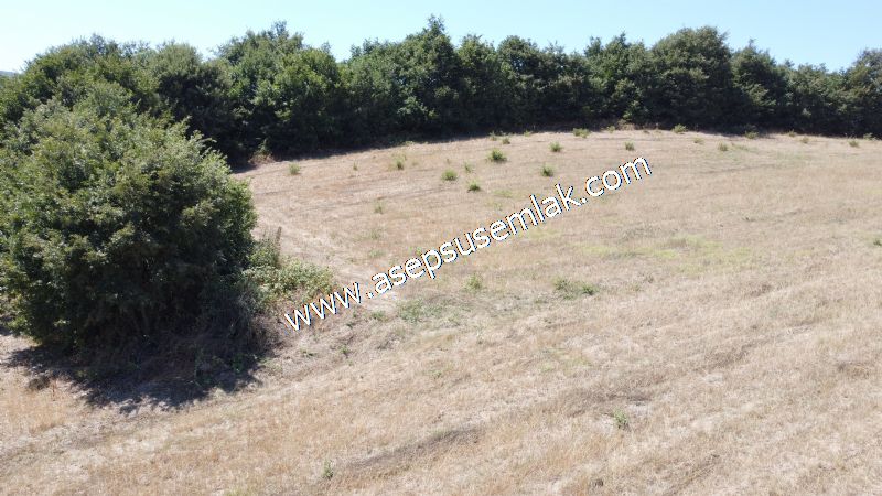 8.480 m2 Çiftlik Bağ-Bahçe K.Pompaj Su Var Kadastro Yola Cepheli