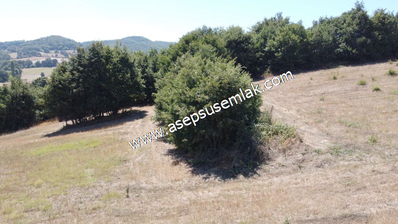 8.480 m2 Çiftlik Bağ-Bahçe K.Pompaj Su Var Kadastro Yola Cepheli