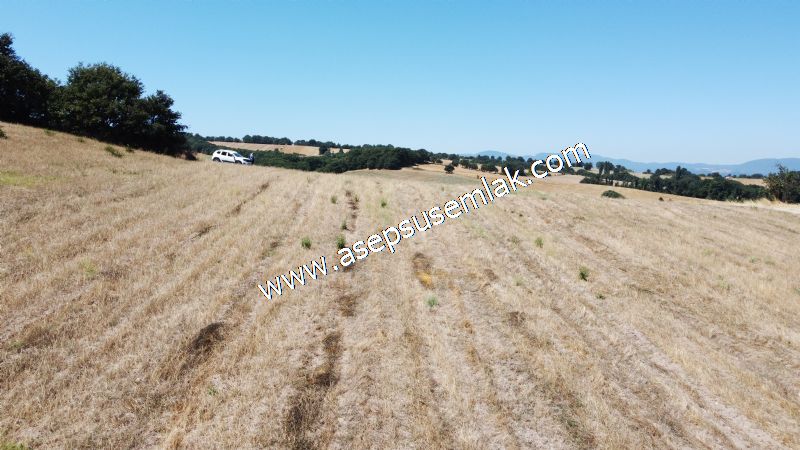 8.480 m2 Çiftlik Bağ-Bahçe K.Pompaj Su Var Kadastro Yola Cepheli