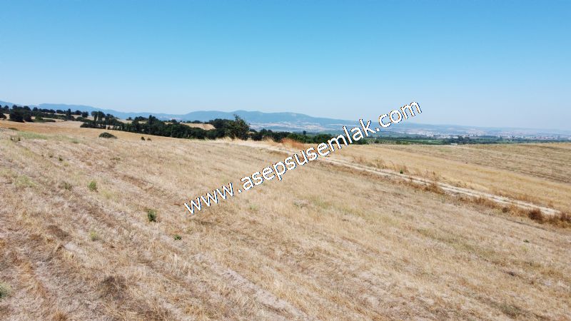8.480 m2 Çiftlik Bağ-Bahçe K.Pompaj Su Var Kadastro Yola Cepheli