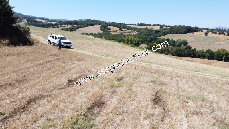 8.480 m2 Çiftlik Bağ-Bahçe K.Pompaj Su Var Kadastro Yola Cepheli
