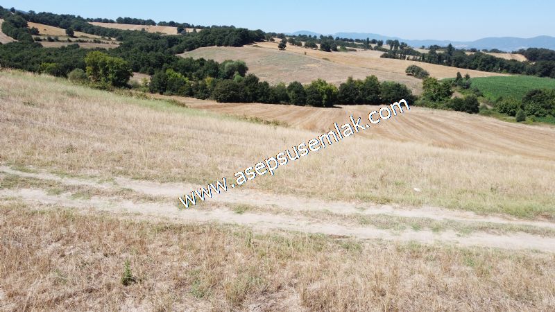 8.480 m2 Çiftlik Bağ-Bahçe K.Pompaj Su Var Kadastro Yola Cepheli