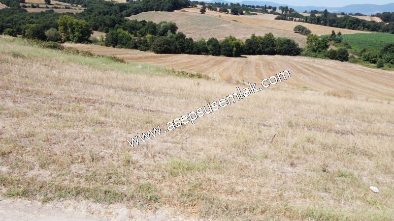 8.480 m2 Çiftlik Bağ-Bahçe K.Pompaj Su Var Kadastro Yola Cepheli