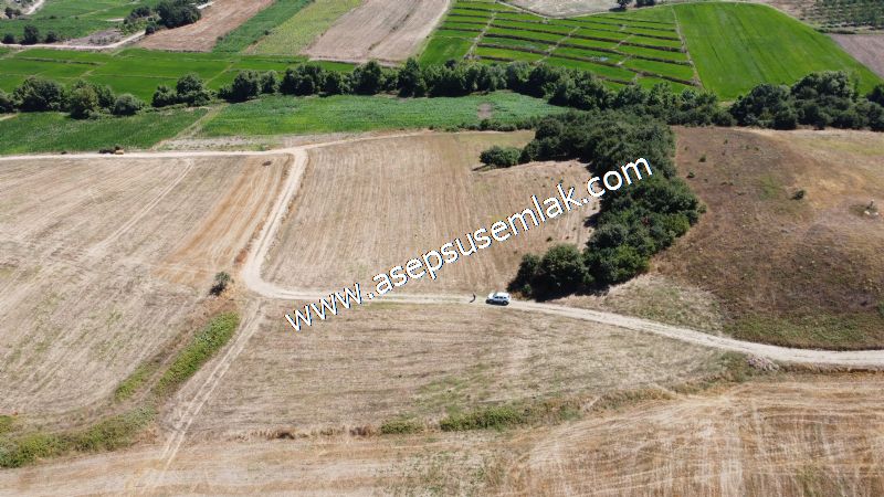 8.480 m2 Çiftlik Bağ-Bahçe K.Pompaj Su Var Kadastro Yola Cepheli