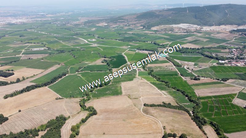 8.480 m2 Çiftlik Bağ-Bahçe K.Pompaj Su Var Kadastro Yola Cepheli
