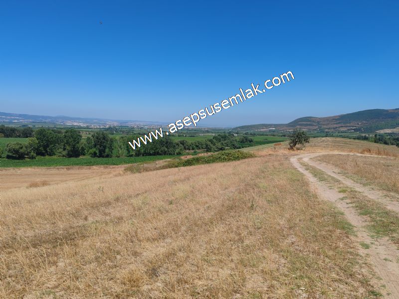 8.480 m2 Çiftlik Bağ-Bahçe K.Pompaj Su Var Kadastro Yola Cepheli