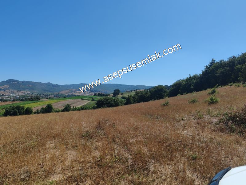 8.480 m2 Çiftlik Bağ-Bahçe K.Pompaj Su Var Kadastro Yola Cepheli