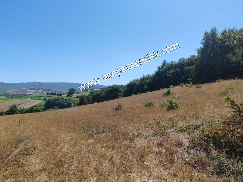 8.480 m2 Çiftlik Bağ-Bahçe K.Pompaj Su Var Kadastro Yola Cepheli