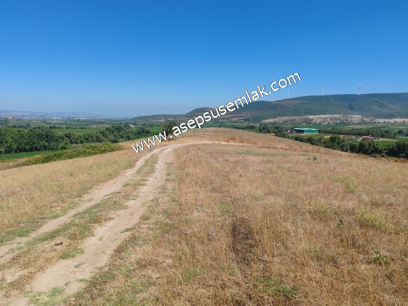 8.480 m2 Çiftlik Bağ-Bahçe K.Pompaj Su Var Kadastro Yola Cepheli