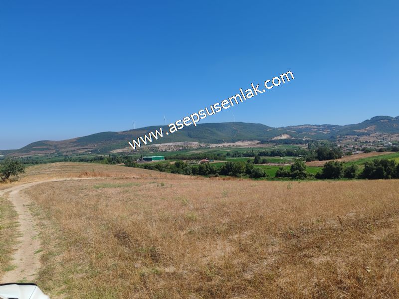 8.480 m2 Çiftlik Bağ-Bahçe K.Pompaj Su Var Kadastro Yola Cepheli