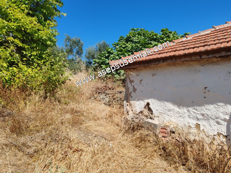 1.086 m2 Müstakil Köy Evi Arsa Bağ-Bahçe Samanlık Dam Gönen'de