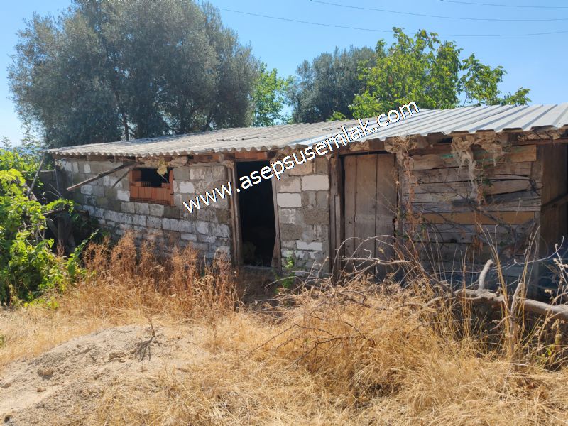 1.086 m2 Müstakil Köy Evi Arsa Bağ-Bahçe Samanlık Dam Gönen'de
