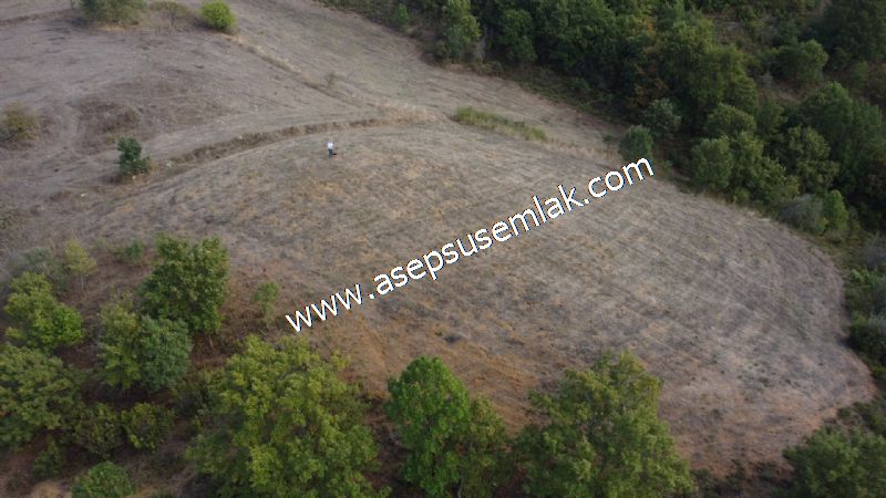 3.100 M2 Yatırımlık Tarla Doğası Süper Hakim Tepede Hobi Bahçesi