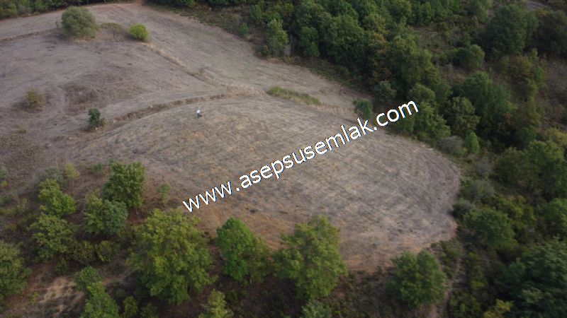 3.100 M2 Yatırımlık Tarla Doğası Süper Hakim Tepede Hobi Bahçesi