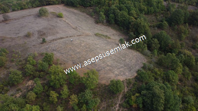 3.100 M2 Yatırımlık Tarla Doğası Süper Hakim Tepede Hobi Bahçesi