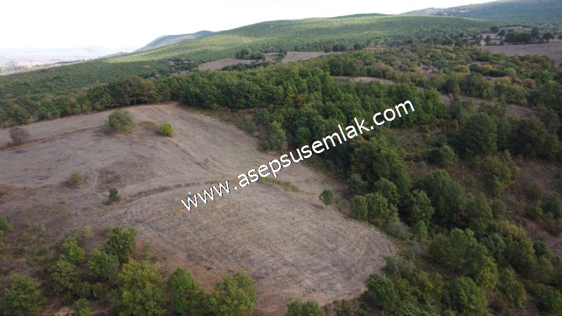 3.100 M2 Yatırımlık Tarla Doğası Süper Hakim Tepede Hobi Bahçesi