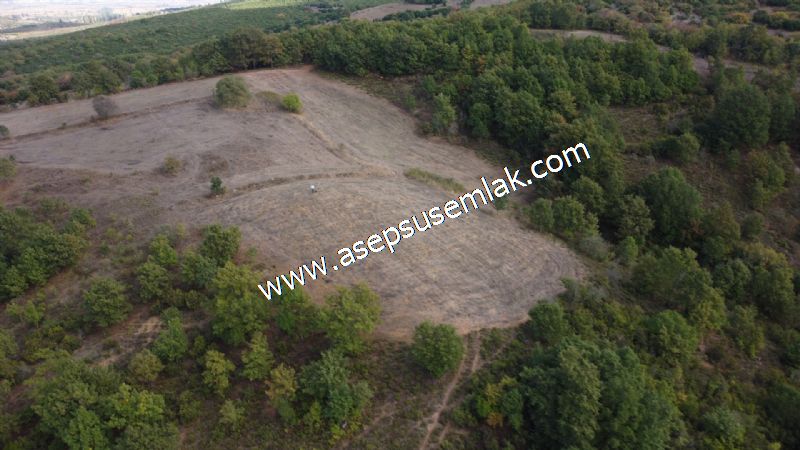 3.100 M2 Yatırımlık Tarla Doğası Süper Hakim Tepede Hobi Bahçesi